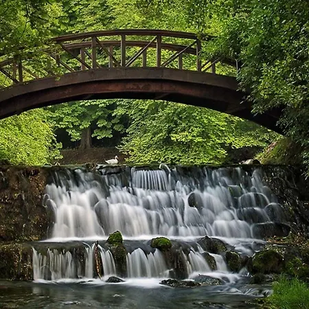 Bosna *